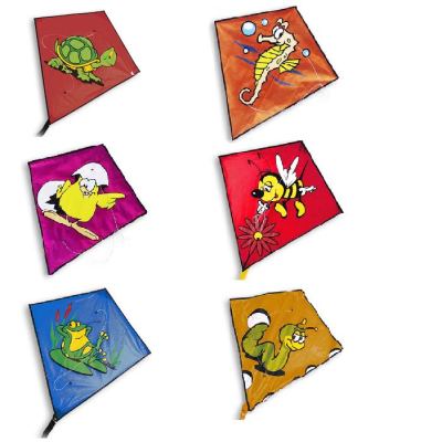 Vlieger Funny Diamond - Didak Beach - 60x65 cm