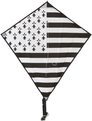 Vlieger Diamond Hermine - Didak Beach - 60x65 cm