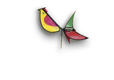 Didak Kites