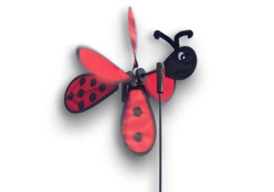Didak Kites