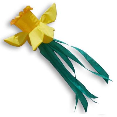 Didak Kites
