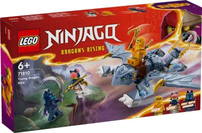 LEGO Ninjago - Jonge draak Riyu 71810