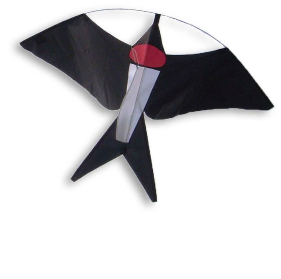 Cerf-volant Swallow - Didak Beach - 55x90 cm