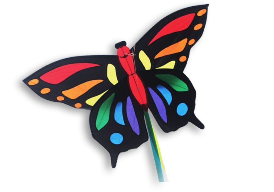 TROPICAL BUTTERFLY MEDIUM 104*55 DRACHE