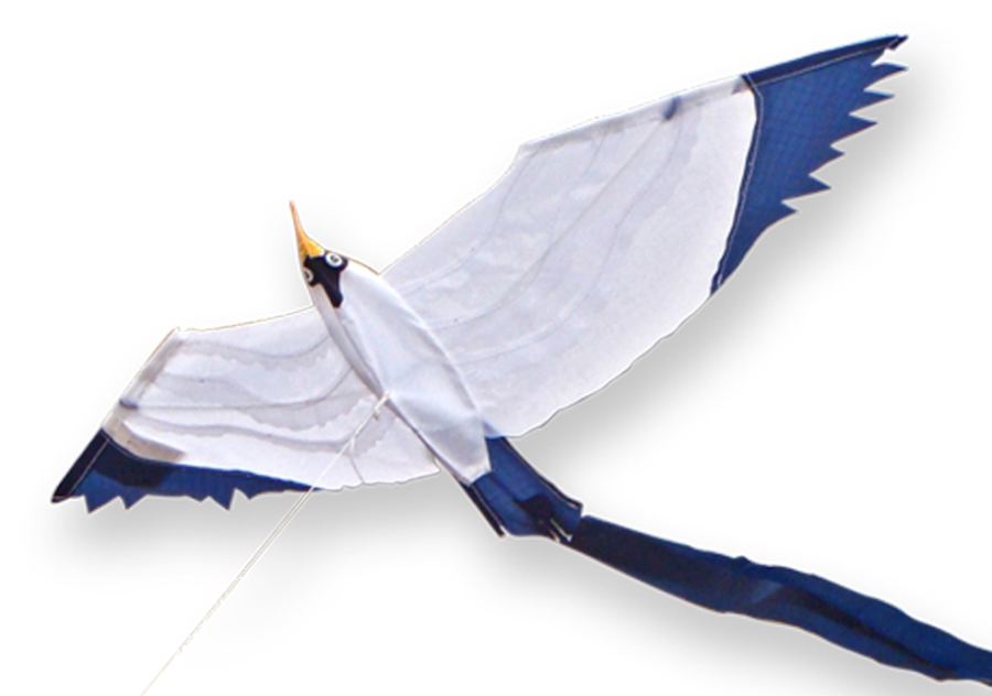 Cerf-volant Little Seagull - Didak Beach - 50x18 cm