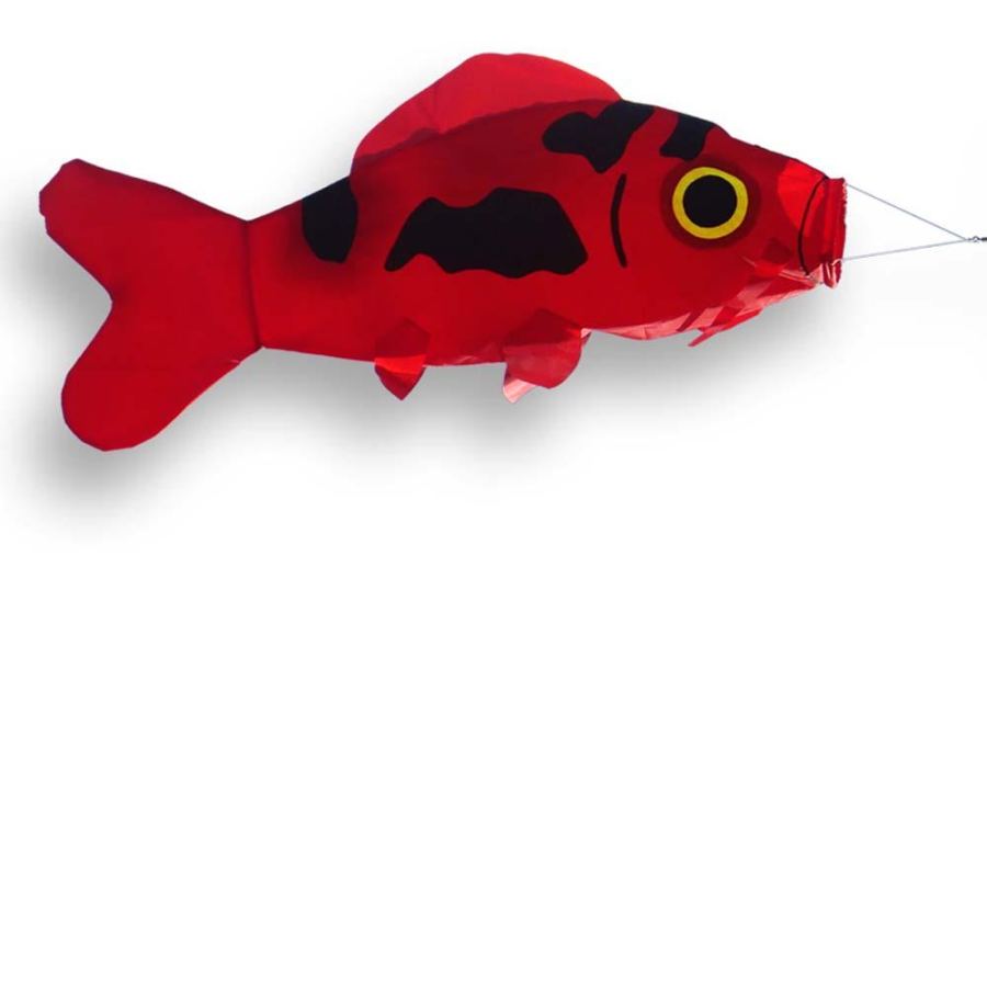 Didak Kites